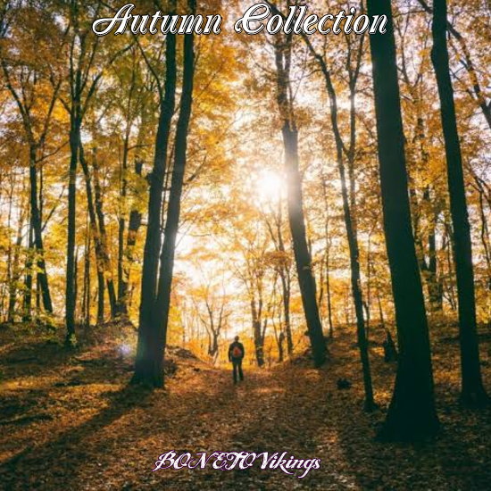 Autumn Collection　秋物コレクション